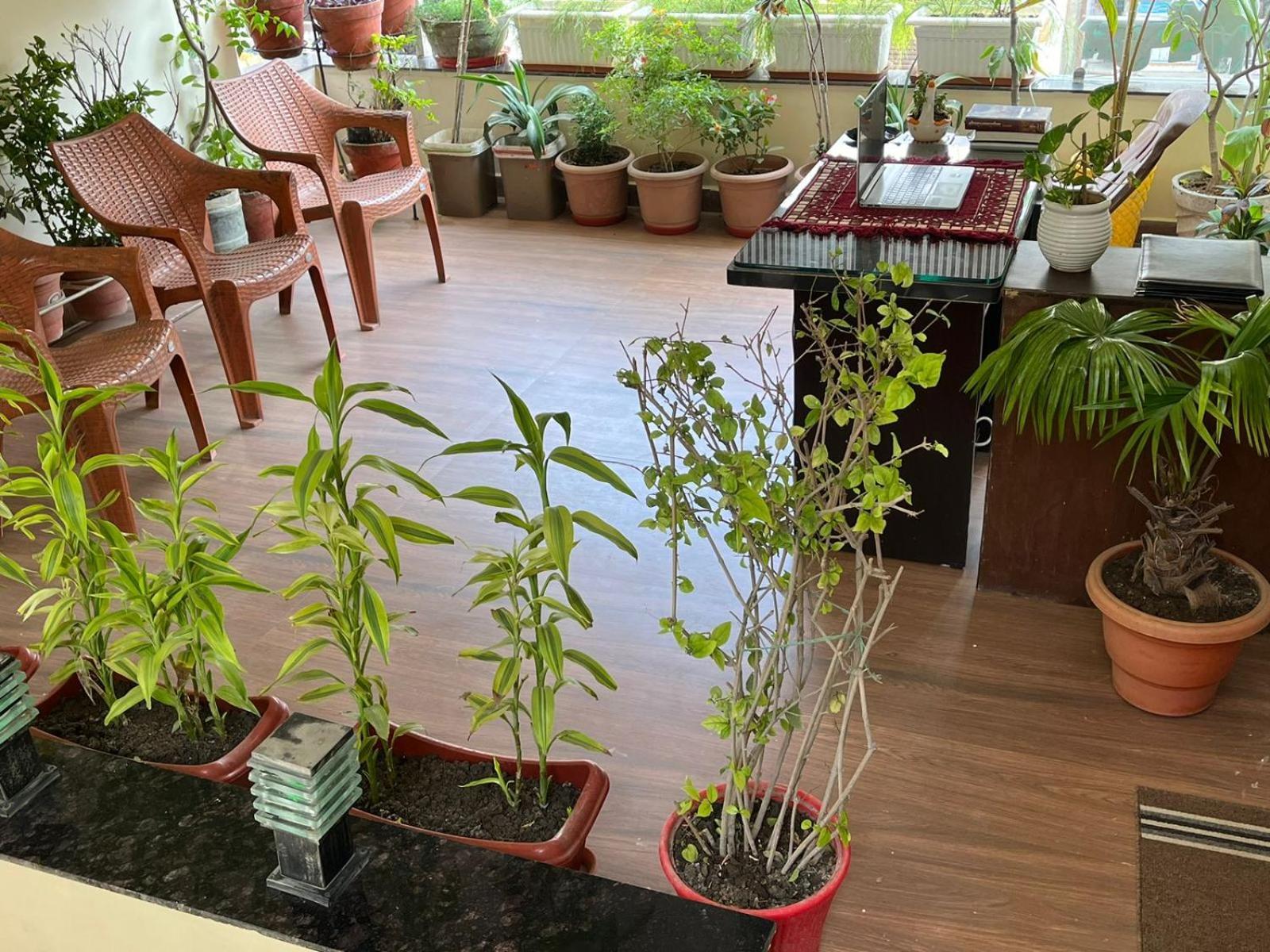 Hotel Shivashray Luxury Stays & Inn Ujjain Exteriör bild